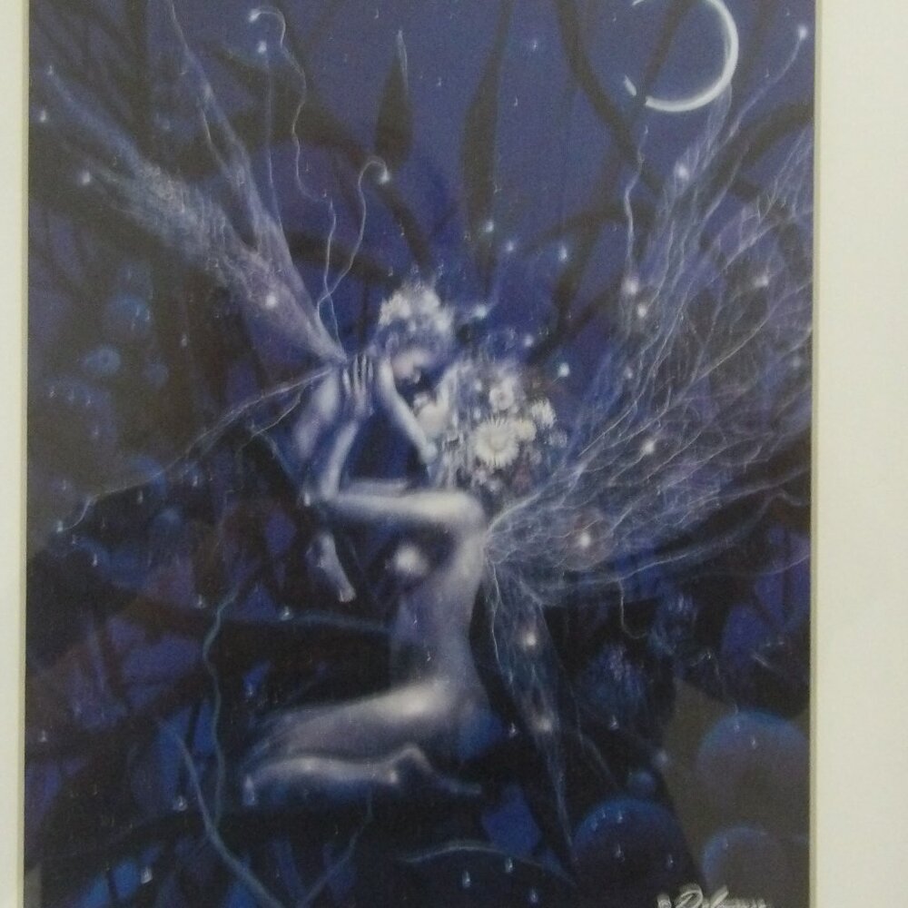 Beautiful FAIRY Framed Picture